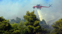 Ζάκυνθος: Φωτιά στην