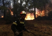 Πυρκαγιά στο Ζέλι