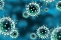 Συνολικά 76 άνθρωποι έχουν χάσει τη ζωή τους από επιπλοκές της γρίπης