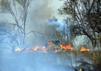 Ζάκυνθος: Νέα πυρκαγιά στο